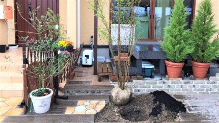 植栽 260fa163cf299a45de3dcdfff7f1c11b