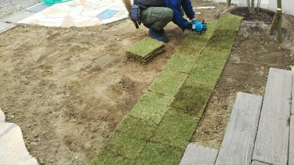 芝はり 4.1