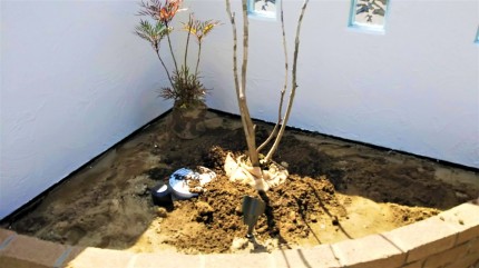 植え込み (2) 4a78f48aa93b39b1e6118e94b9feceab