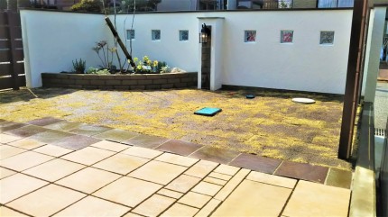 芝2 (2) 84ddcb7b30b6fa1e609bdf70b994367a