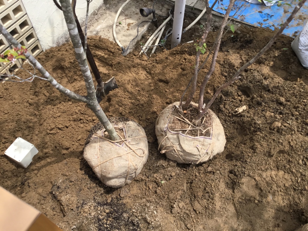 新潟の小さな外構店が本気で目指す日本一の仕事への道のり 第162庭 玄関前の小庭をリノベーション 新潟市 外構 エクステリア 庭 ラーバンテック