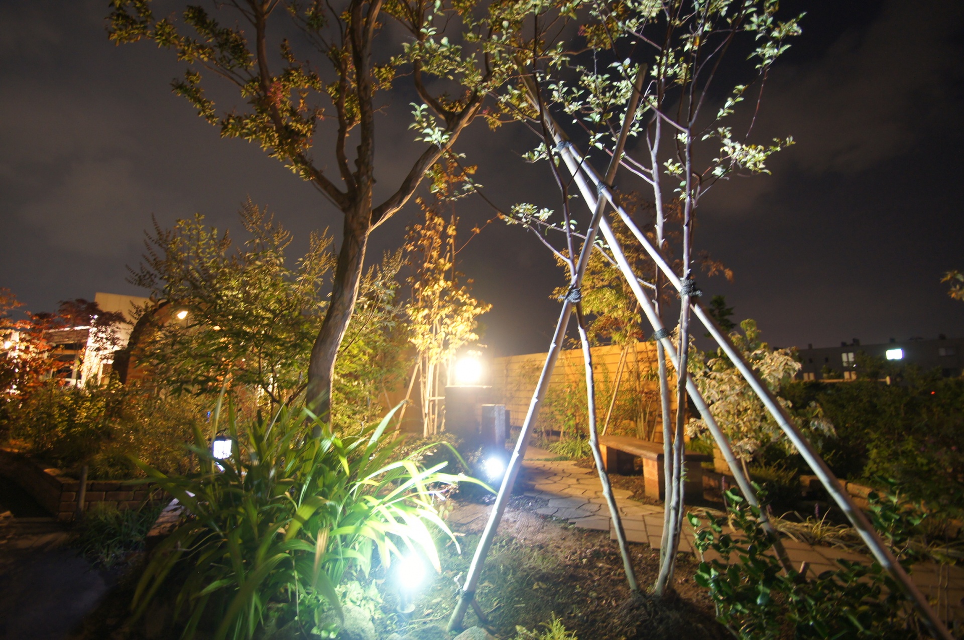 夜長に人気ledのライトアップ 新潟市 外構 エクステリア 庭 ラーバンテック