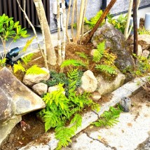 植栽仕上げ a37a5be2bc59aae5f3affc59fc7101a4